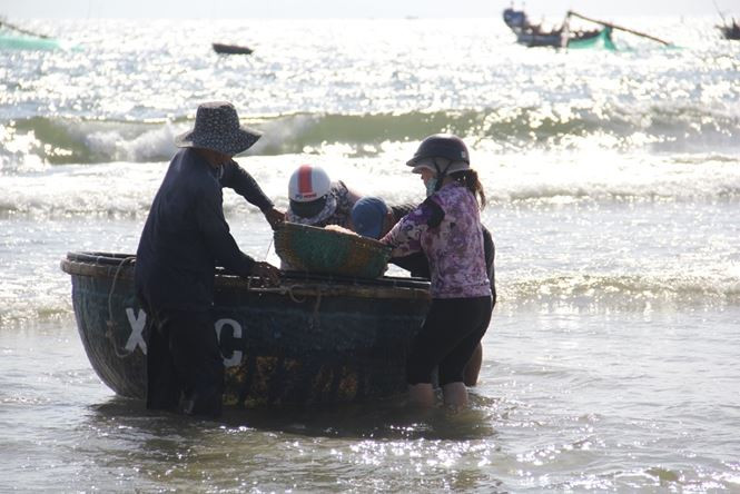 Hàng tấn ruốc được đánh bắt liên tục rồi đưa vào bờ. Nhiều tàu đánh trúng cả chục triệu một ngày. Ảnh: Tiền phong.
