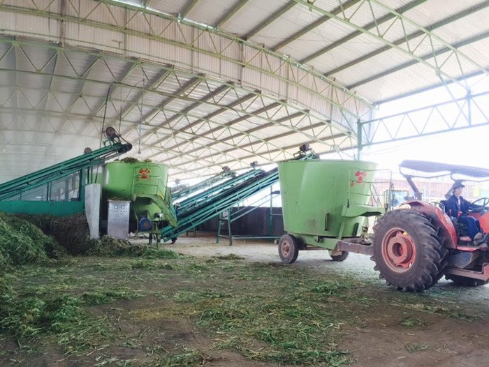 Các xe chuyên dụng chở thức ăn sau khi đã trộn xong.