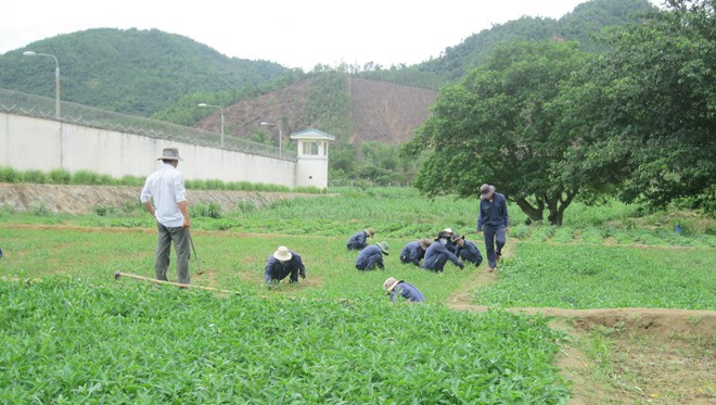 Ở Trung tâm này, các học viên chỉ phải lao động 4 giờ/ngày. Trước khi rời khỏi đây, học viên được nhân viên tư vấn về sự hòa nhập với cộng đồng, những biện pháp tránh xa ma túy và giới thiệu việc làm phù hợp.