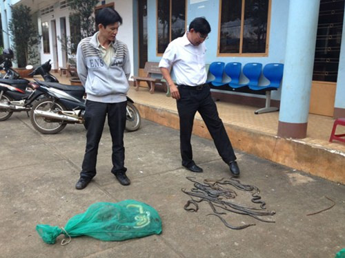 4. Đối tượng lạ đi ô tô thả hàng trăm con rắn ra khu dân cư Đồng Nai. Khoảng 16h ngày 20/12, xuất hiện 3 đối tượng lạ mặt đi xe ô tô hiệu Inova đến tại xã Xuân Thạnh, huyện Thống Nhất (Đồng Nai) rồi dừng lại và bất ngờ trút ba bao bao rắn xuống đầu cầu Dầu Giây.