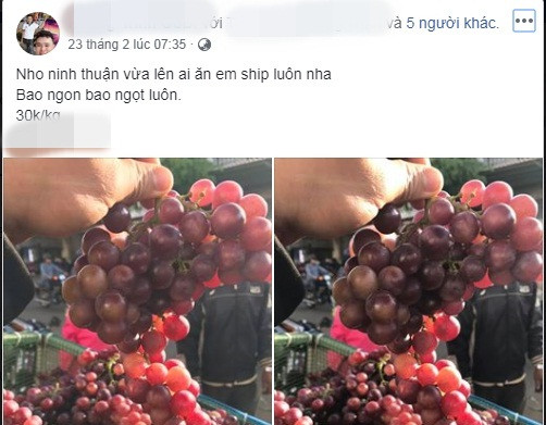 Những ngày cuối tháng 2, trên chợ mạng, các tiểu thương ồ ạt rao bán nho Ninh Thuận với mức giá khá mềm vì đang bước vào chính vụ.