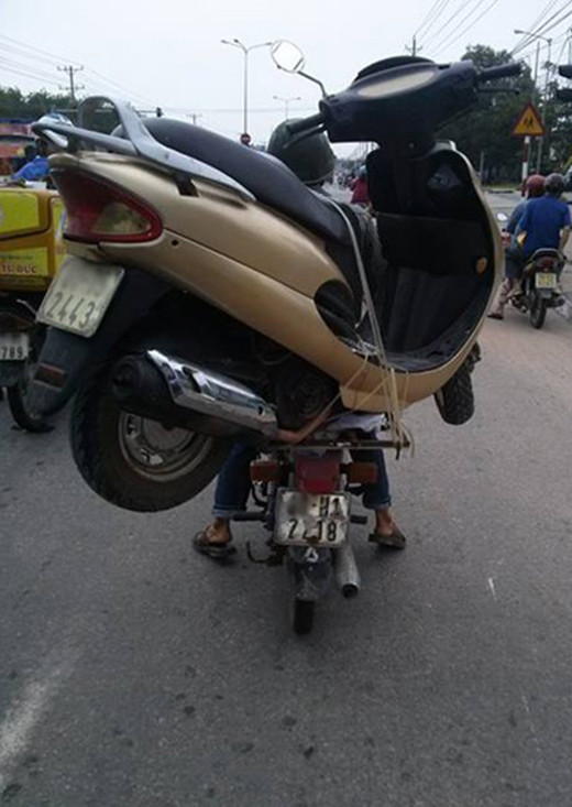 Người vận chuyển - phiên bản Việt.