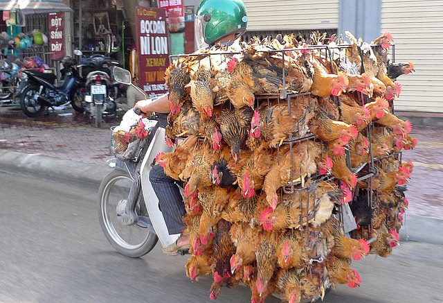 Người vận chuyển - phiên bản Việt.