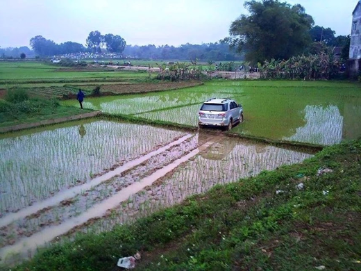 Đường không đi, lao xuống ruộng làm chi?