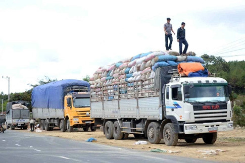 Phạt tiền từ 5 – 7 triệu đồng khi điều kiển xe có Giấy phép lưu hành còn giá trị sử dụng nhưng tổng trọng lượng của xe hoặc tải trọng trục xe vượt quá quy định trong Giấy phép.