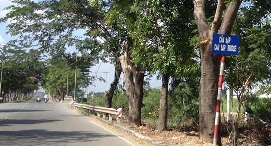 Đi qua cầu "Sập" thì run thật.