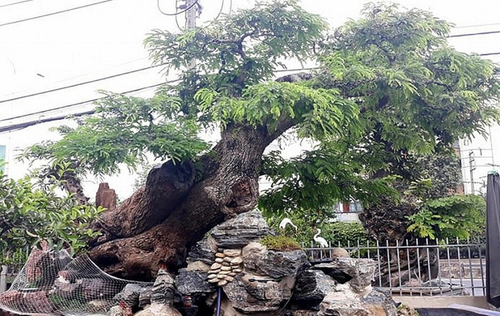 Nhìn tổng thể, tác phẩm me phong cảnh hữu tình theo dáng thác đổ mây bay. Ảnh: Thuonghieusanpham