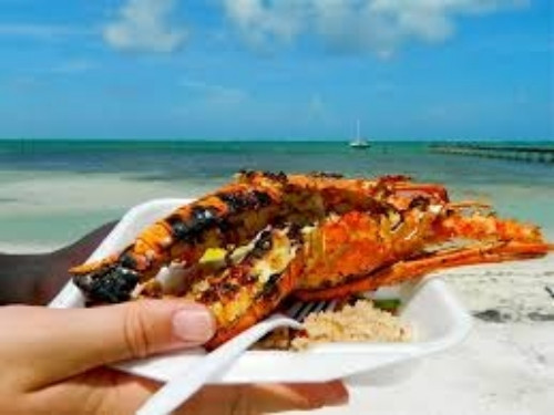 Ở Maine và Massachusetts, tôm hùm thậm chí còn bị những người lao động chê trong các bản hợp đồng lao động. Ghi chép trong lịch sử cho thấy, nhiều người lao động đẫ viết các điều khoản trong hợp đồng, yêu cầu không để họ phải ăn tôm hùm quá 2 lần/tuần. Ảnh: CNN