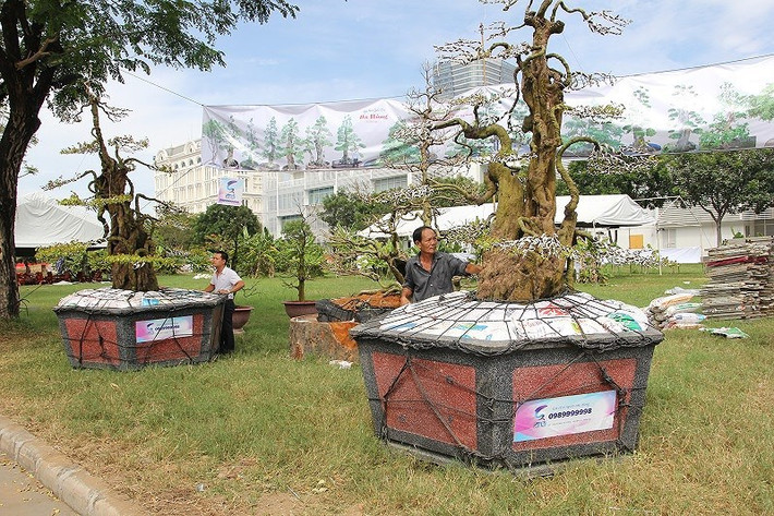Đầu năm 2015, ông Ba Hùng từng rao bán cặp khế cổ với giá 7 tỷ đồng. Ảnh: Vietnamnet