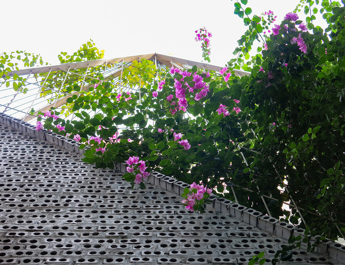 Toạ lạc tại Thạch Bàn (Long Biên, Hà Nội), DAD House nằm trên một mảnh đất nhỏ có diện tích 33m2 với các nhược điểm gặp phải tương tự như các dự án nhà lô khác.