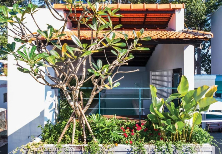 Các mảng xanh trong nhà cũng đóng vai trò rất lớn đưa ngôi nhà nhỏ trở thành "resort tại gia". Nguồn ảnh: Hiroyuki Oki