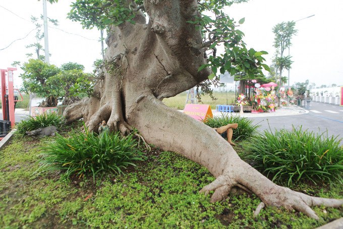 Theo anh Hiệp, ai muôn sở hữu phải thực sự yêu tác phẩm cũng như hiểu được sự vất vả tạo tác của người nghệ nhân trong 20 năm. Ảnh: Công luận