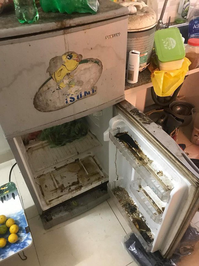 Vì thấy tủ lạnh vẫn chạy, đèn sáng nên cô nàng đã không nghĩ tới cảnh tượng kinh hoàng này. Các loại đồ ăn hỏng toàn độ, thứ nước màu đen đọng dưới đáy tủ.