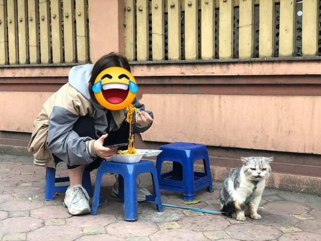 Trước đây, cũng có một chú mèo dỗi chủ của mình vì bị bỏ rơi khi đi ăn cùng.