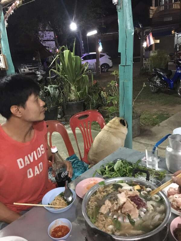 Thông qua những khoảnh khắc mà “sen” bắt được có thể thấy mỗi khi gia đình có tiệc, chú chó luôn góp mặt.