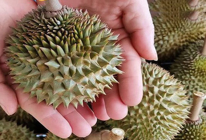 Sau khi chia sẻ câu chuyện về quả sầu riêng mini được chia sẻ lên mạng xã hội, cô nàng khiến netizen bàn luận xôn xao.