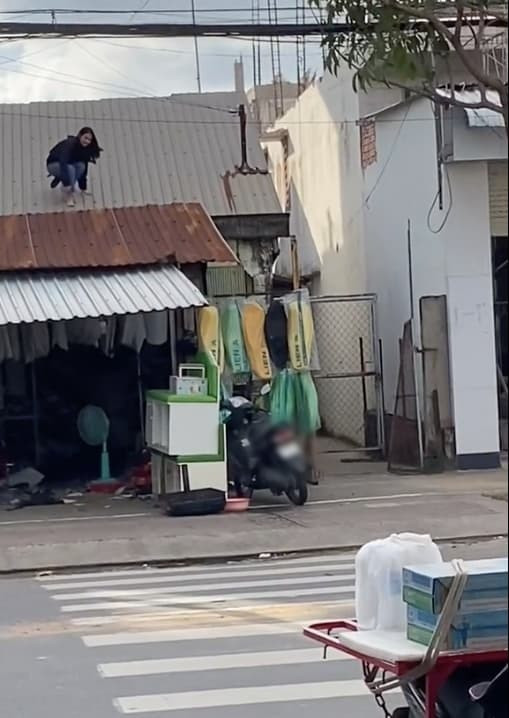 Thậm chí, có những cô bé, cậu bé mới lớn bị phụ huynh cấm cản thì tìm cách trèo tường trốn ra ngoài.