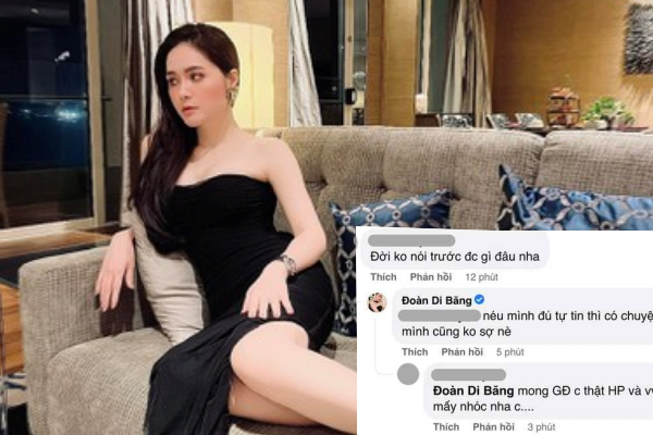 Ở phần bình luận, nhiều người cho rằng có một cô vợ như Đoàn Di Băng thì lo giữ còn không hết chứ đừng nói ngoại tình: "Xinh đẹp thế này anh Vũ lo mà giữ gìn cho kĩ thì có. Ngưỡng mộ anh chị quá!" hay "Vợ xinh đẹp, giỏi giang ổng cưng đội đầu như vậy thì làm sao trà xanh nào chen chân vô được?".