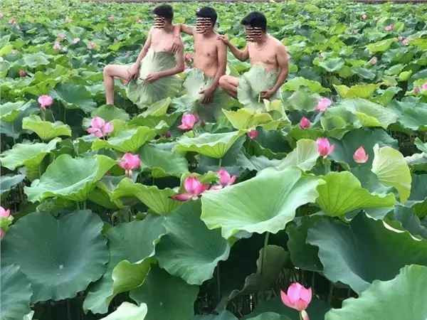 Trong ảnh, họ hoàn toàn không mặc gì, chỉ dùng lá sen che chắn phần dưới. Điều này khiến nhiều người phản ứng gay gắt vì không hợp với thuần phong mỹ tục.