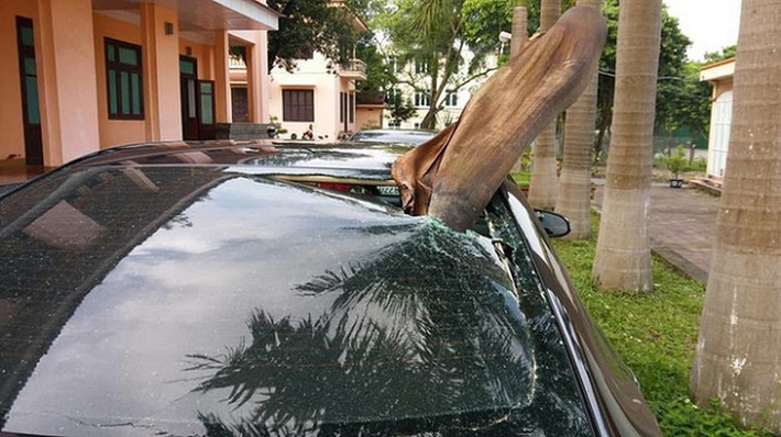 Một chiếc xe khác cũng bị thủng phần kính do chiếc tàu dừa nặng rơi trúng.