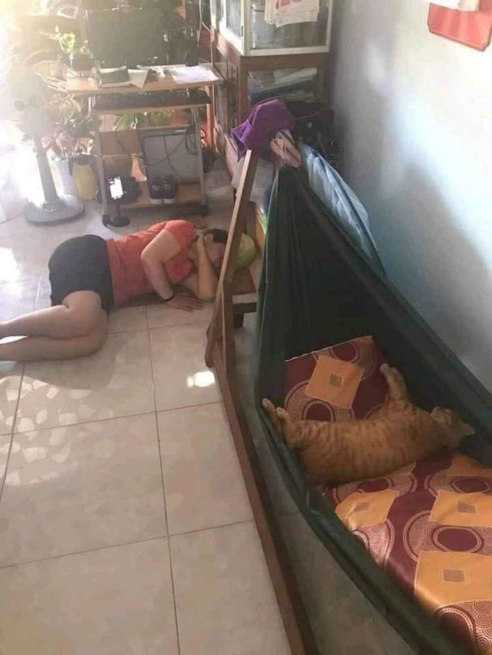 Võng thuộc về "con ruột" của mẹ còn "con ghẻ" phải nằm đất.