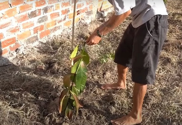Căn nhà của So Y Tiết có màu trắng chủ đạo với điểm nhấn là phần mái màu xanh dương. Bên trong mới có một phần nội thất cơ bản, cặp đôi đã chuyển tới nhà mới và bố trí nốt những chi tiết còn lại trong thời gian tới.