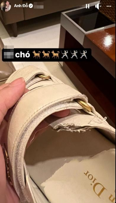 Trên Facebook, Trâm Anh mới đây chia sẻ tình huống dở khóc dở cười. Cô than thở về việc vừa mất toi đôi sandal đến từ thương hiệu đình đám Dior, có trị giá hơn 30 triệu.