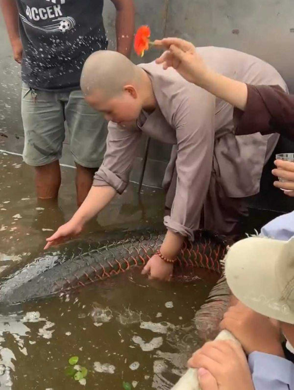 Trước đó có không ít trường hợp gây nhiều tranh cãi khi có người thì bọc cá trong nilon mà "quên" bỏ túi khi phóng sinh, hay một số người lại đứng trên cầu ném thẳng cá xuống sông.
