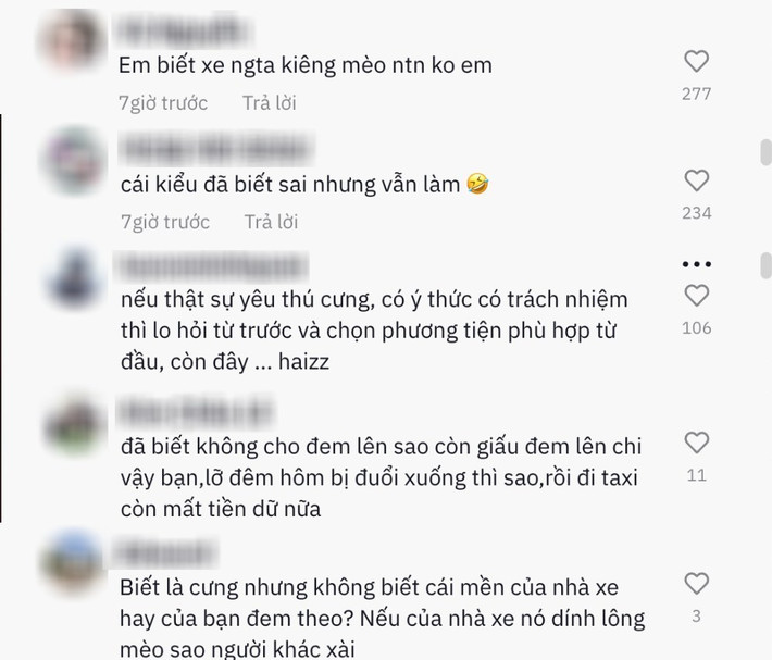 Lúc này, cô còn xa nhà gần 200km. Vì không còn cách nào khác nên cô chỉ đành bắt taxi để mèo và mình có thể về đến nhà.