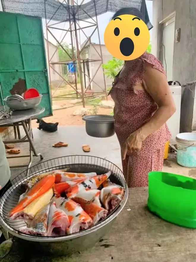 Ai cũng thấy may mắn cho người vợ vì đàn cá còn nguyên vẹn, nếu có chuyện gì xảy ra thì chẳng biết phải nói với anh xã như thế nào.