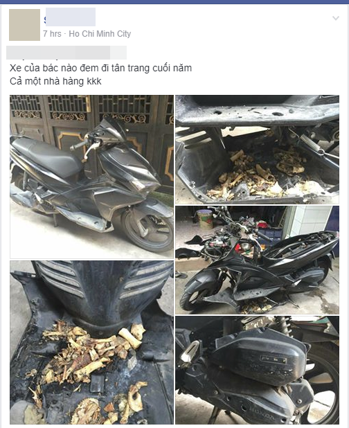 Một chiếc xe máy khi mở sàn ra phát hiện cả một ngôi nhà toàn thức ăn của loài chuột tha về.