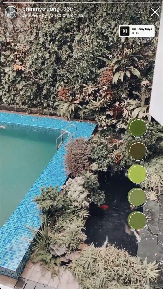 Được biết sau khi kết hôn, hai vợ chồng Phan Thành và Primmy Trương đã ra riêng, sống tại 1 khu chung cư cao cấp nằm nay Trung tâm Quận 1, TP HCM.