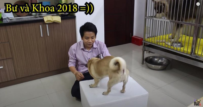 Youtuber Khoa Pug còn khiến dân mạng phấn khích khi tung nhiều vlog với nội dung "chủ tịch giả nghèo" đi khách sạn 5 sao, mua đồng hồ Rolex ở Thượng Hải,...