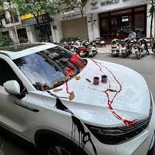 Đây không phải lần đầu tiên việc các chủ nhà có màn dằn mặt tài xế đỗ xe sai quy định gây tổn hại đến tài sản.