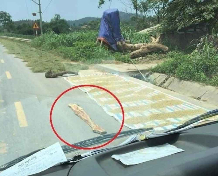 Đoạn clip chiếm dụng lòng đường để phơi thóc sau khi lên sóng thu hút hàng chục nghìn lượt xem, bày tỏ cảm xúc và bình luận từ cư dân mạng.