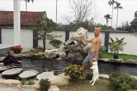 Cả hai anh em Tam Mao đã phải tìm cách để cứu đàn cá với sự giúp sức của một người quen có am hiểu về việc nuôi cá Koi.