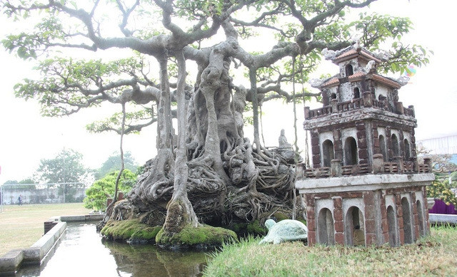 Đến năm 2010, có người trả giá 10 tỷ đồng nhưng ông vẫn từ chối. Năm nay, tiếp tục có người trả gần 15 tỷ đồng nhưng ông chưa muốn bán. Ảnh: Dân trí