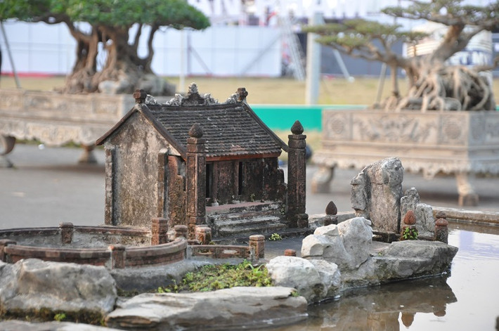 Năm 2005, có khách ngỏ ý muốn mua lại cây này với giá 250 cây vàng nhưng ông không bán. Ảnh: Người đua tin