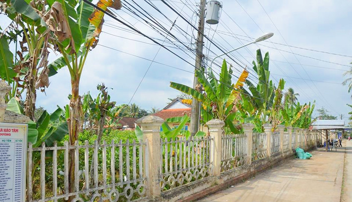 Căn nhà có 3 căn bố cục liên hoàn trong khuôn viên rộng, gồm: nhà trước, nhà sau và nhà bếp. Ảnh: Cần Thơ xưa & nay