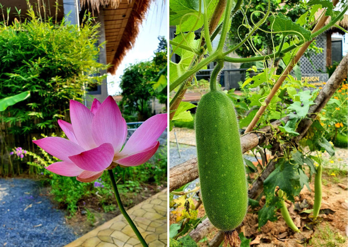 Ngôi nhà hoàn thiện sau 5 tháng thiết kế và thi công với tổng chi phí khoảng 1,7 tỷ đồng. Nguồn ảnh: Lục Design