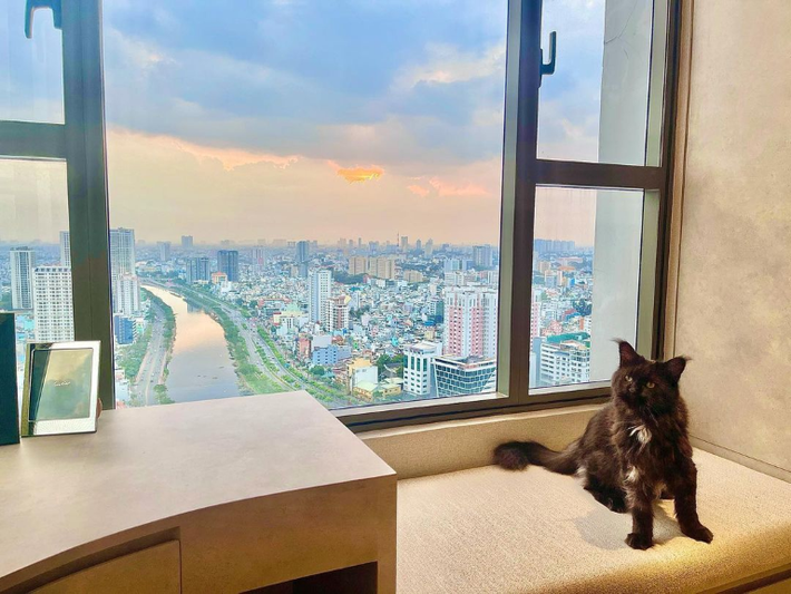 Vợ chồng Trấn Thành - Hari Won sở hữu nhiều bất động sản, trong đó có cơ ngơi 20 tỷ giữa Sài Gòn. Ảnh: FBNV