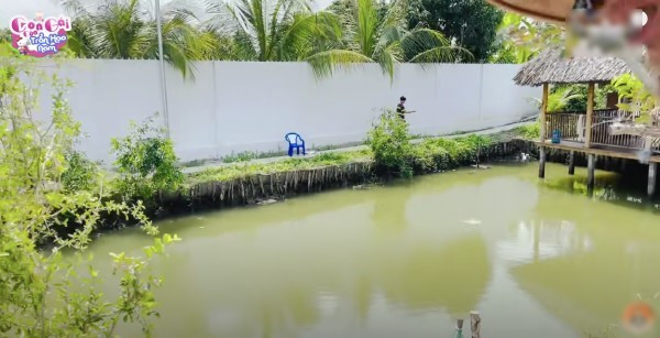 Nhờ thế, trong thời gian nghỉ hè, các con của Lâm Chấn Khang được sống trong không gian hòa nhập với thiên nhiên. Ảnh: Chụp màn hình