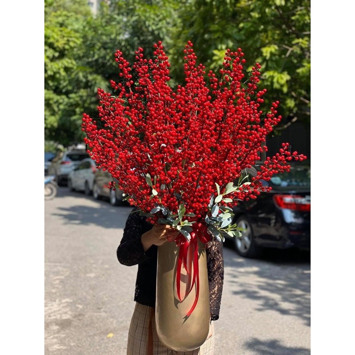 Ngoài cành bán lẻ, trên thị trường còn có những chậu đào đông đỏ có giá lên tới 15 - 20 triệu đồng. Ảnh: Shopee