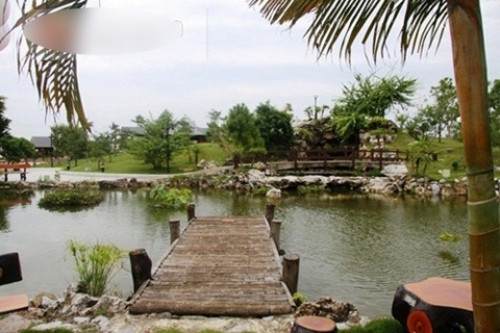Gia chủ đã bỏ tiền để tạo một quả đồi trong khuôn viên để tạo điểm nhấn; hồ cá cảnh; khu vực trồng tùng, cây cảnh, hòn non bộ xen kẽ. Ảnh: TTVN