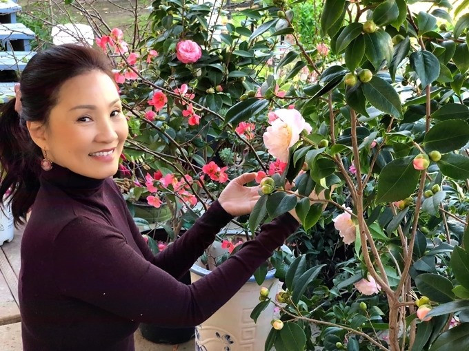 Hai mẹ con nữ nghệ sĩ trồng đủ các loại rau Việt Nam và nhiều loại hoa như cúc, trà my, lồng đèn ở cả sân trước và sân sau.