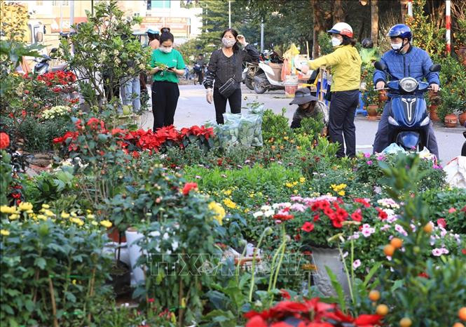 Chợ hoa Hoàng Hoa Thám còn được người dân Hà Nội xưa gọi là chợ Bưởi, vì khu chợ trải dài từ dốc chợ Bưởi đến hết đường Hoàng Hoa Thám. Ảnh: Baotintuc