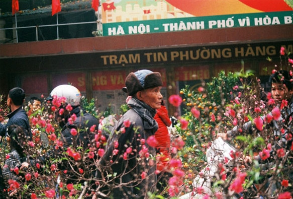 Đặc biệt, người Hà Nội đi chợ hoa Hàng Lược thường ngắm nhiều hơn mua. Đó như một thú vui mỗi dịp Tết đến. Ảnh: Hanoimoi