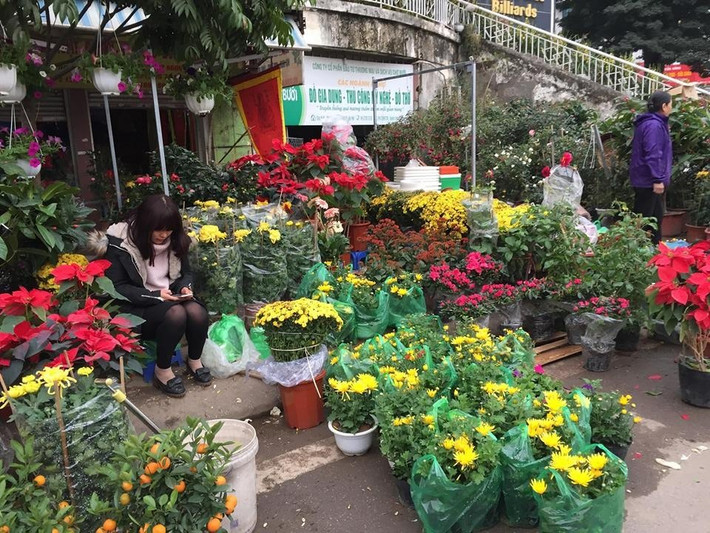 Ngoài các loại hoa, chợ hoa Hoàng Hoa Thám còn bán các loại đồ trang trí cho tết như đèn lồng, câu đối, cả hạt giống, con giống, vật nuôi...Ảnh: Lao động