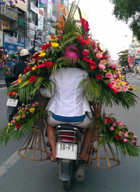 Rừng hoa di động.
