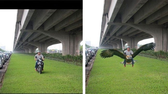 Ảnh chế người đàn ông lái xe trên cỏ ở Hà Nội từng gây "bão".